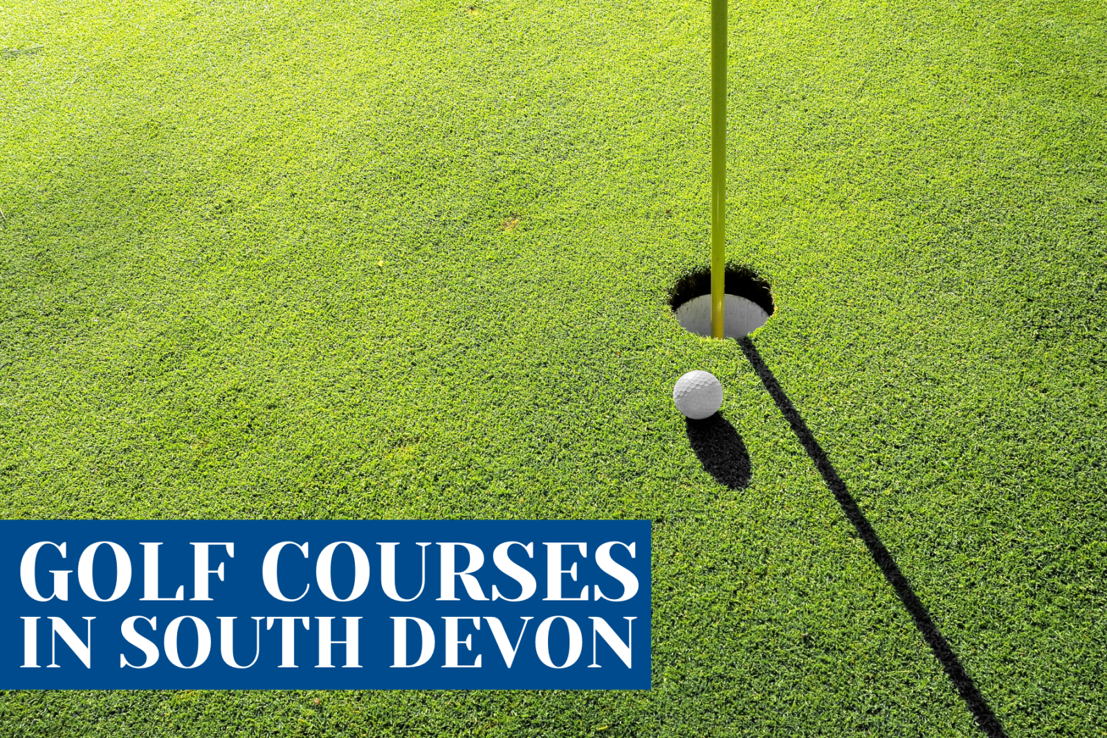 golf clubs in South Devon
